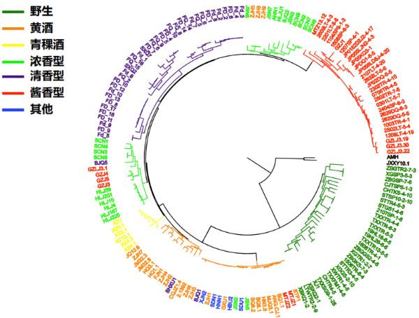 茅台集团科技成果鉴定会召开