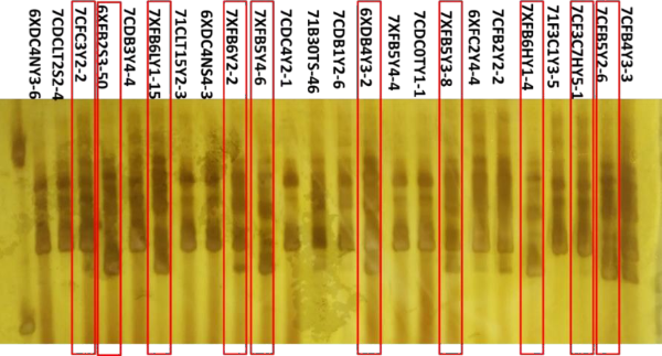 茅台集团科技成果鉴定会召开